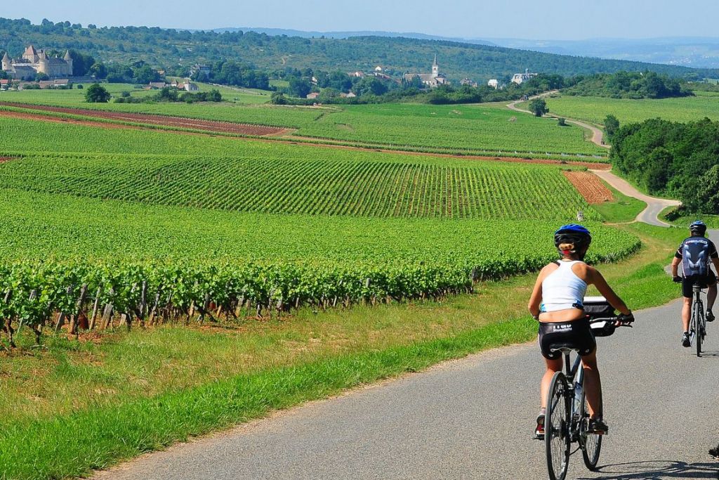 French Cycling Holidays