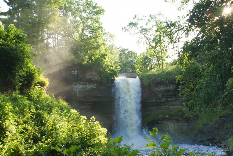 Forest waterfall