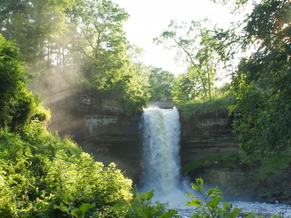 Forest waterfall