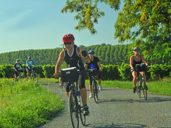 French Cycling 1